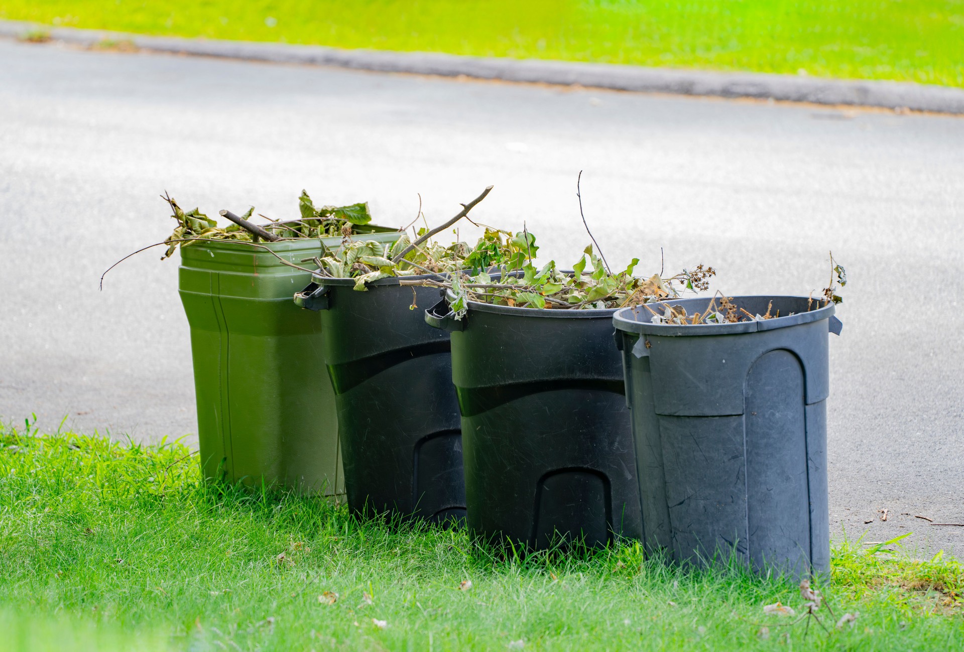 curbside yard waste collection, trash bin with branches